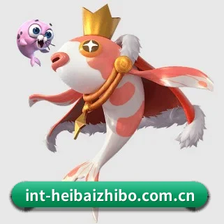 黑白直播 APP